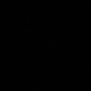 Meet your Posher, Peyton